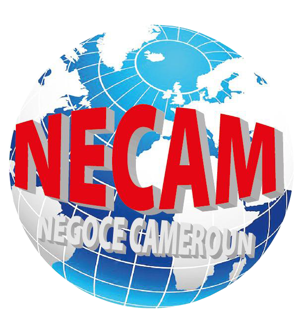 Logo_Necam